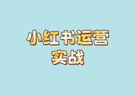小红书运营实战-花花网赚