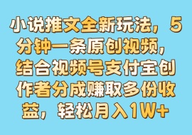 小说推文全新玩法，5分钟一条原创视频，结合视频号支付宝创作者分成赚取多份收益，轻松月入1W+-花花网赚