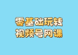 零基础玩转视频号网课-花花网赚