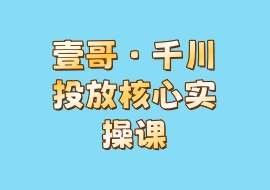 壹哥·千川投放核心实操课-花花网赚