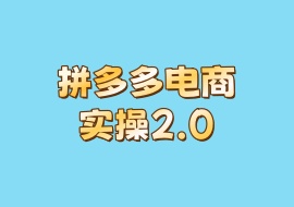 拼多多电商实操2.0-花花网赚
