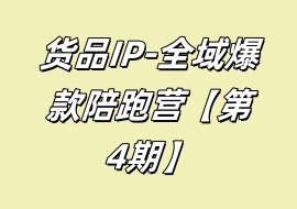 全域爆款陪跑营【第4期】-花花网赚