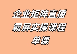 企业矩阵直播霸屏实操课程 单课-花花网赚