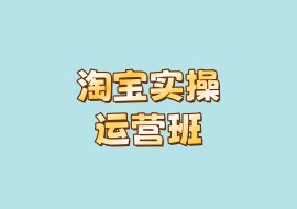 淘宝实操运营班-花花网赚