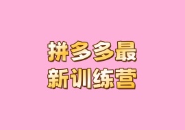 拼多多最新训练营-花花网赚