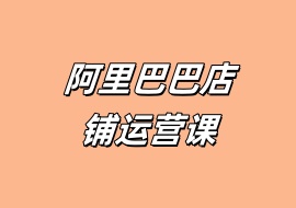 阿里巴巴店铺运营课-花花网赚