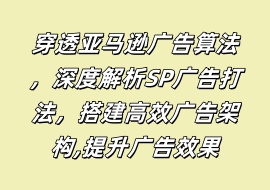 穿透亚马逊广告算法，深度解析SP广告打法，搭建高效广告架构,提升广告效果-花花网赚