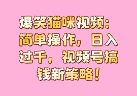 爆笑猫咪视频：简单操作，日入过千，视频号搞钱新策略！-花花网赚