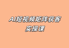 AI短视频矩阵获客实操课-花花网赚