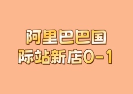 阿里巴巴国际站新店0-1-花花网赚