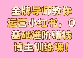金牌导师教你运营小红书，0基础进阶赚钱博主训练课！-花花网赚