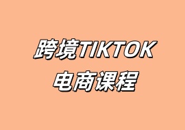 跨境TIKTOK电商课程-花花网赚