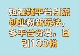 短视频平台引流创业粉新玩法，多平台分发，日引100粉-花花网赚