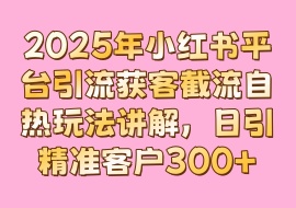 2025年小红书平台引流获客截流自热玩法讲解，日引精准客户300+-花花网赚