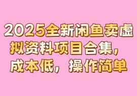 2025全新闲鱼卖虚拟资料项目合集，成本低，操作简单-花花网赚