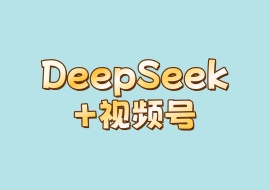 DeepSeek+视频号-花花网赚