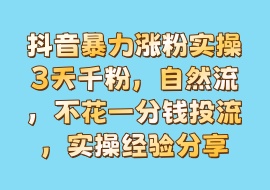 抖音暴力涨粉实操3天千粉，自然流，不花一分钱投流，实操经验分享-花花网赚