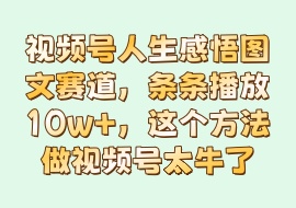 视频号人生感悟图文赛道，条条播放10w+，这个方法做视频号太牛了-花花网赚