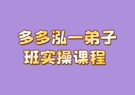 多多泓一弟子班实操课程-花花网赚