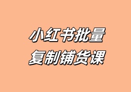 小红书批量复制铺货课-花花网赚