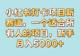小红书打卡项目新赛道，一个适合所有人的项目，新手月入5000+-花花网赚