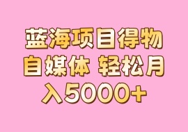 蓝海项目得物自媒体 轻松月入5000+-花花网赚
