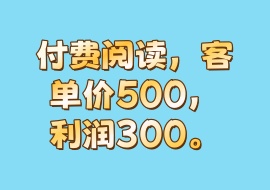 付费阅读，客单价500，利润300。-花花网赚