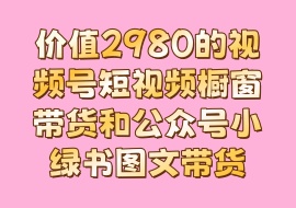 价值2980的视频号短视频橱窗带货和公众号小绿书图文带货-花花网赚