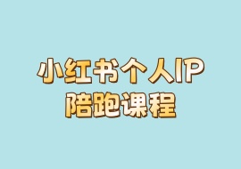 小红书个人IP陪跑课程-花花网赚