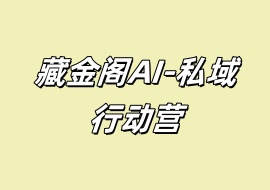 藏金阁AI-私域行动营-花花网赚