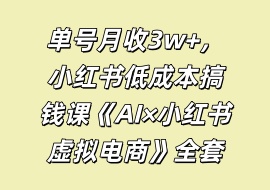 单号月收3w+，小红书低成本搞钱课《AI×小红书虚拟电商》全套-花花网赚